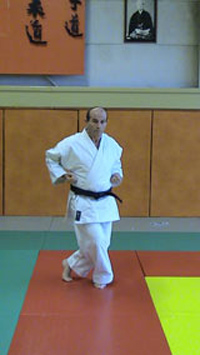 Kosa dachi