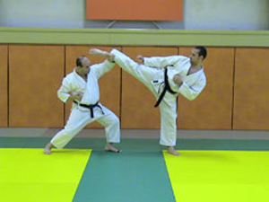 Mawashi geri