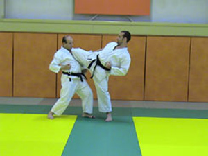 Mawashi hiza geri