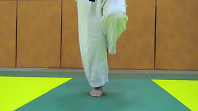 Tsuru ashi dachi pied