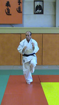 Tsuru ashi dachi