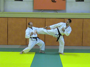 Ushiro geri